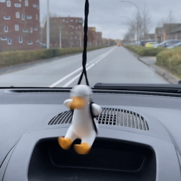 Swingduck